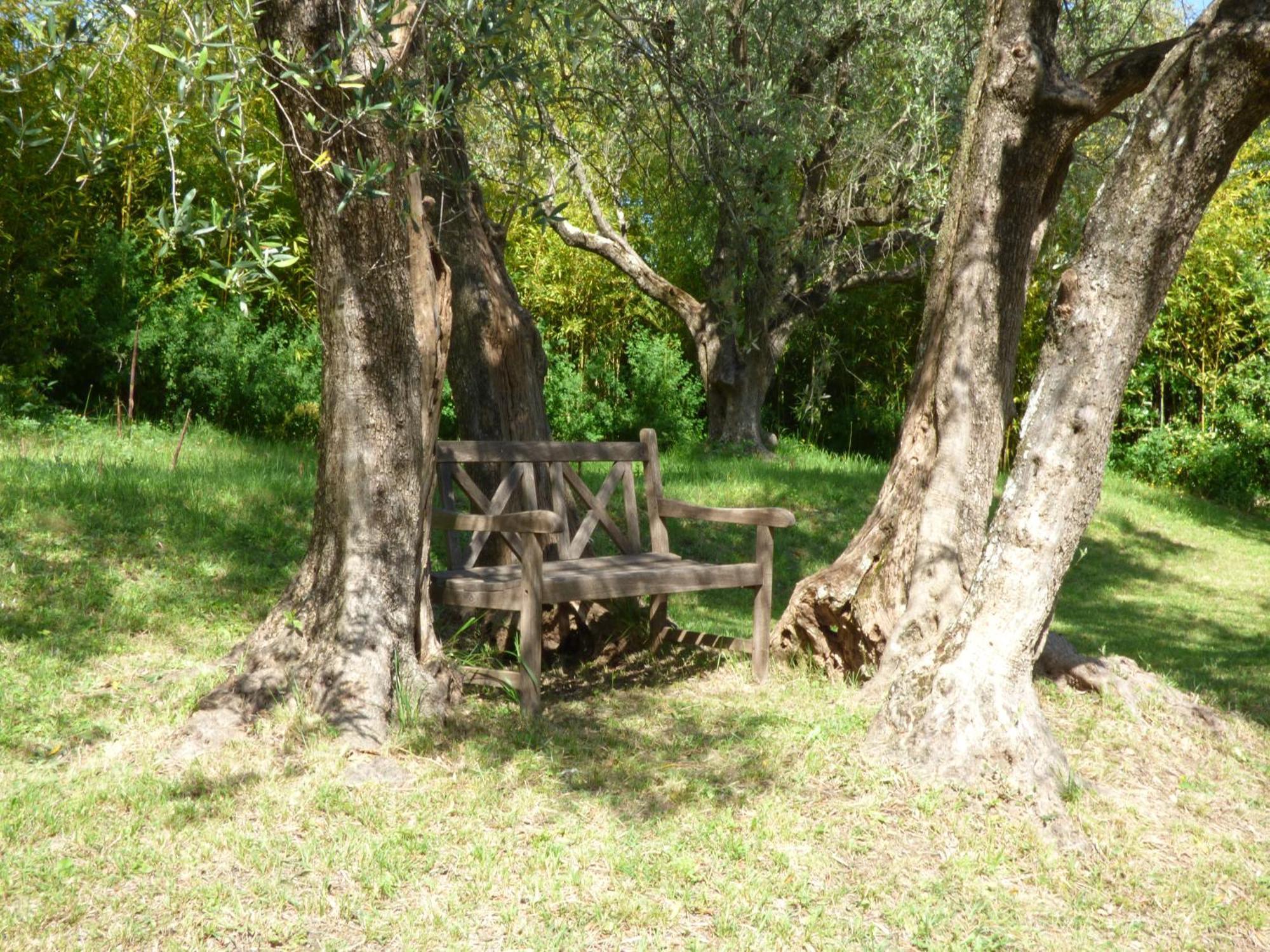 Apartment Cezanne With Heated Pool And Private Garden Chateauneuf-Grasse Luaran gambar