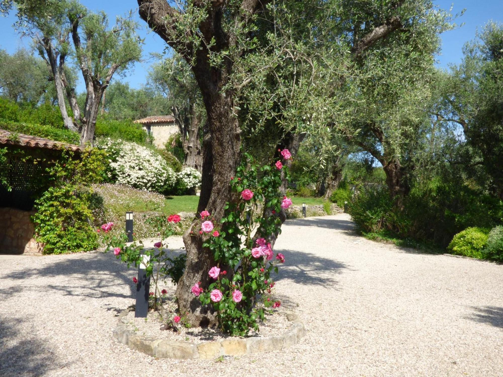 Apartment Cezanne With Heated Pool And Private Garden Chateauneuf-Grasse Luaran gambar